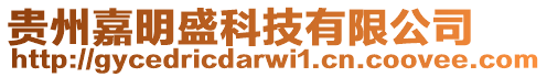 貴州嘉明盛科技有限公司