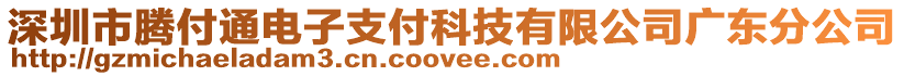 深圳市騰付通電子支付科技有限公司廣東分公司