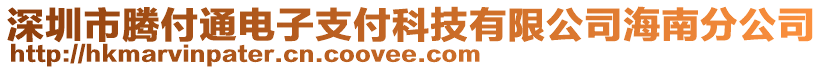 深圳市騰付通電子支付科技有限公司海南分公司