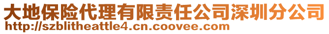 大地保險代理有限責任公司深圳分公司