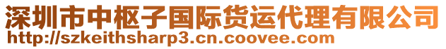 深圳市中樞子國(guó)際貨運(yùn)代理有限公司