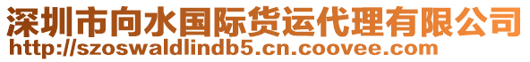 深圳市向水國際貨運代理有限公司