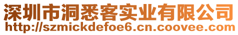 深圳市洞悉客實業(yè)有限公司