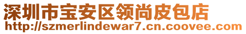 深圳市寶安區(qū)領(lǐng)尚皮包店