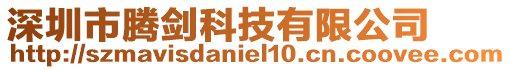 深圳市腾剑科技有限公司