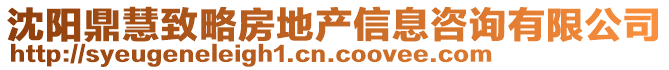 沈阳鼎慧致略房地产信息咨询有限公司