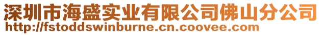 深圳市海盛實業(yè)有限公司佛山分公司