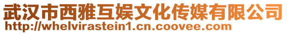 武漢市西雅互娛文化傳媒有限公司