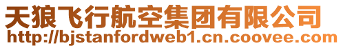 天狼飛行航空集團有限公司