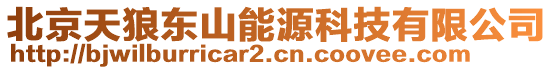 北京天狼東山能源科技有限公司