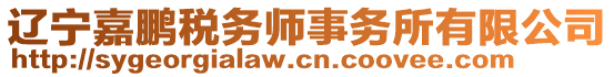 辽宁嘉鹏税务师事务所有限公司