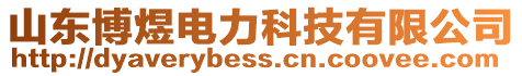 山東博煜電力科技有限公司