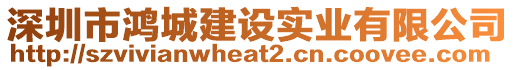 深圳市鴻城建設(shè)實(shí)業(yè)有限公司