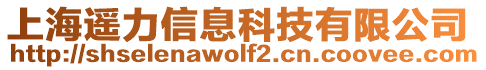 上海遙力信息科技有限公司