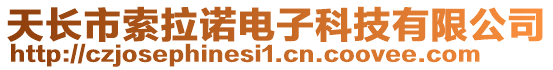 天長市索拉諾電子科技有限公司