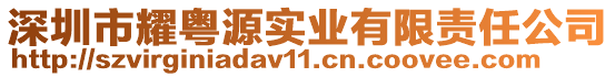 深圳市耀粵源實(shí)業(yè)有限責(zé)任公司