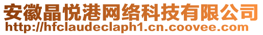 安徽晶悅港網(wǎng)絡(luò)科技有限公司