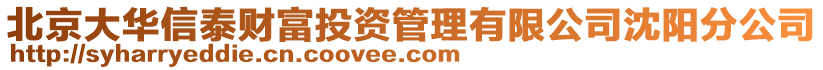 北京大華信泰財(cái)富投資管理有限公司沈陽分公司