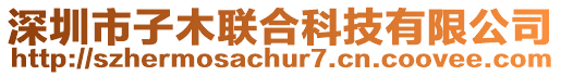 深圳市子木聯(lián)合科技有限公司