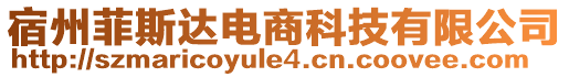 宿州菲斯達(dá)電商科技有限公司