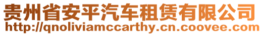 貴州省安平汽車租賃有限公司