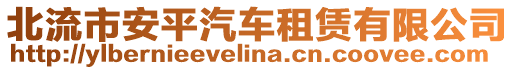 北流市安平汽車租賃有限公司