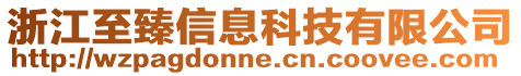 浙江至臻信息科技有限公司