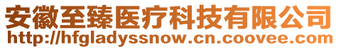 安徽至臻醫(yī)療科技有限公司