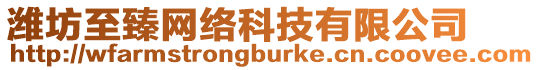 濰坊至臻網(wǎng)絡(luò)科技有限公司