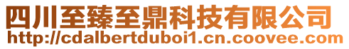 四川至臻至鼎科技有限公司