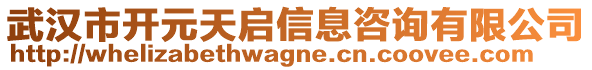 武漢市開元天啟信息咨詢有限公司