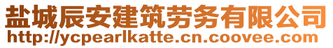 鹽城辰安建筑勞務(wù)有限公司