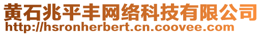 黃石兆平豐網(wǎng)絡(luò)科技有限公司