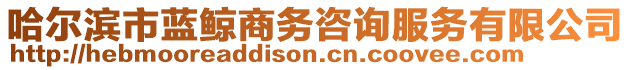 哈爾濱市藍(lán)鯨商務(wù)咨詢服務(wù)有限公司