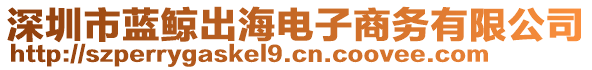 深圳市藍(lán)鯨出海電子商務(wù)有限公司