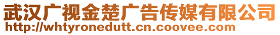 武漢廣視金楚廣告?zhèn)髅接邢薰? style=