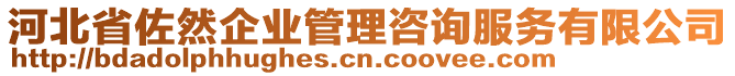 河北省佐然企業(yè)管理咨詢服務有限公司