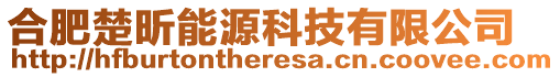 合肥楚昕能源科技有限公司