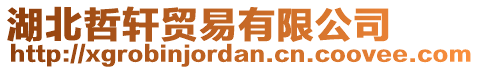 湖北哲軒貿(mào)易有限公司