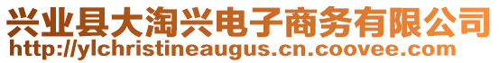 興業(yè)縣大淘興電子商務(wù)有限公司