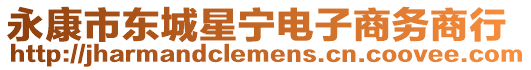 永康市東城星寧電子商務(wù)商行