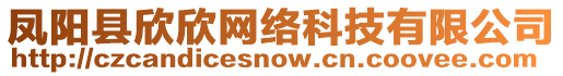 凤阳县欣欣网络科技有限公司