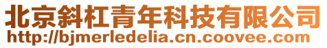 北京斜杠青年科技有限公司