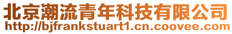 北京潮流青年科技有限公司