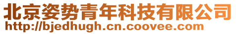 北京姿勢青年科技有限公司