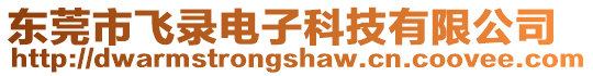 东莞市飞录电子科技有限公司