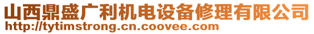 山西鼎盛廣利機(jī)電設(shè)備修理有限公司