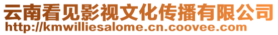 云南看見影視文化傳播有限公司
