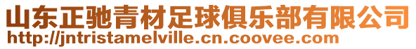 山東正馳青材足球俱樂部有限公司