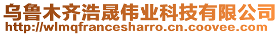 烏魯木齊浩晟偉業(yè)科技有限公司